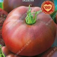 Купить семена Томат Смуглянка