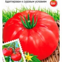 Купить семена Томат Супербомба