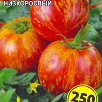 Купить семена Томат Толстый Боцман