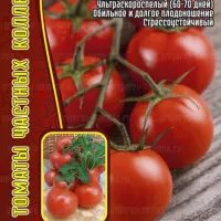 Купить семена Томат Турецкий Стелющийся