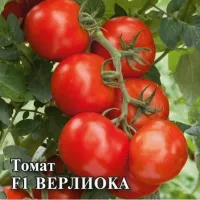 Купить семена Томат Верлиока
