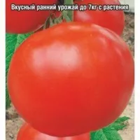 Купить семена Томат Весна F1