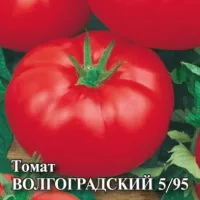 Купить семена Томат Волгоградский