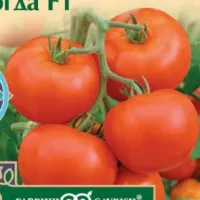 Купить семена Томат Вологда