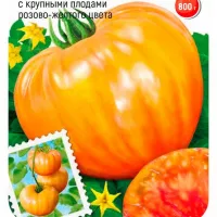 Купить семена томат Загадка природы