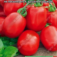 Купить семена Томат-Засолочное чудо