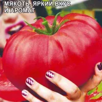 Купить семена Томат Жрица