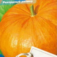 Купить семена тыкву  Гигант Атлантики