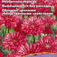 Купить семена Василек Ред Бол