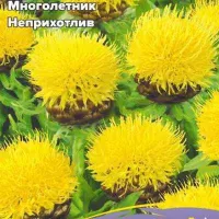 Купить семена Василек Желтый крупноголовый