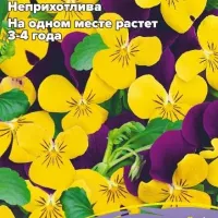 Купить семена Виола Джониз Джампинг многолетняя