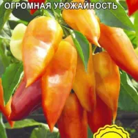 Купить семена Перец Алтайский Плодовитый