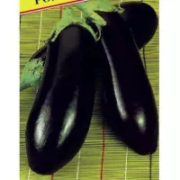 Купить семена Баклажан Рома
