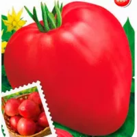 Купить семена Томат Батяня