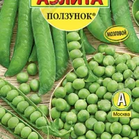 Купить семена Горох ползунок