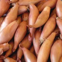 Купить семена Лук шалот Деликатес