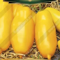 Купить семена Томат Дрова желтые