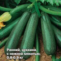 Купить семена Кабачок Цукеша