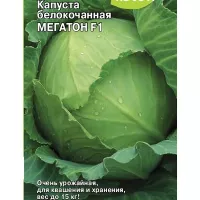 Купить семена капусты Мегатон