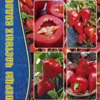 Купить семена Перец Леся