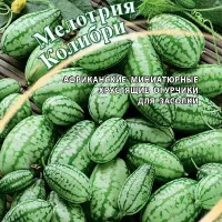 Купить семена Мелотрия Колибри (мини арбуз)