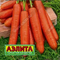 Купить семена Морковь Самсон на ленте