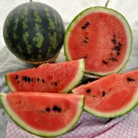 Купить семена Арбуз Подарок Северу