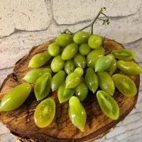 Купить семена Томат Танцующие Зеленые Пальчики