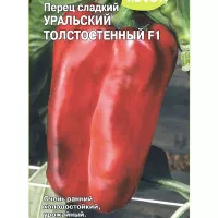Купить семена  Перец Уральский толстостенный F1