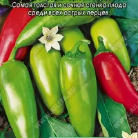 Купить семена семена перца Халапеньо