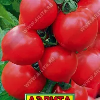 Томат Юбилейный Тарасенко