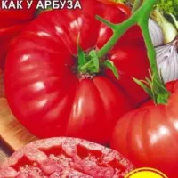 Купить семена Томат Алтайский розовый