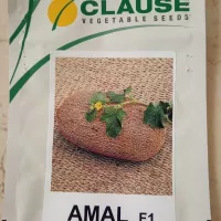 Купить семена Дыня Амал
