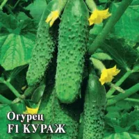 Купить семена огурец Кураж