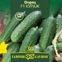 Купить семена огурец Кураж