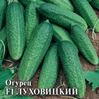 Купить семена огурцы Луховицкие