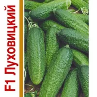 Купить семена огурцы Луховицкие