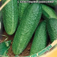 Купить семена огурцы Луховицкие