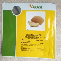 Купить семена Дыня Мануэла