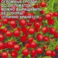 Купить семена Томат Ожерелье красное