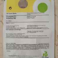 Купить семена Перец Палермо Обедиус