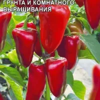 Купить семена Перец сладкий Татарин