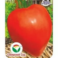 Купить семена Томат Сердце Минусинска