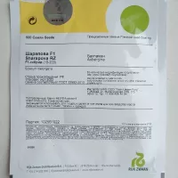 Купить Баклажан Шарапова