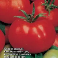 Томат Спринт 2 (Безрассадный)