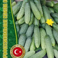 Купить семена Огурец Страж F1