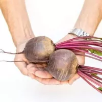 Купить семена Свекла Пабло