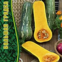 Купить семена Тыква Лунга ди Наполи