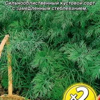 Купить семена Укроп Аллигатор