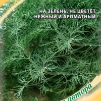 Купить Укроп Без зонта